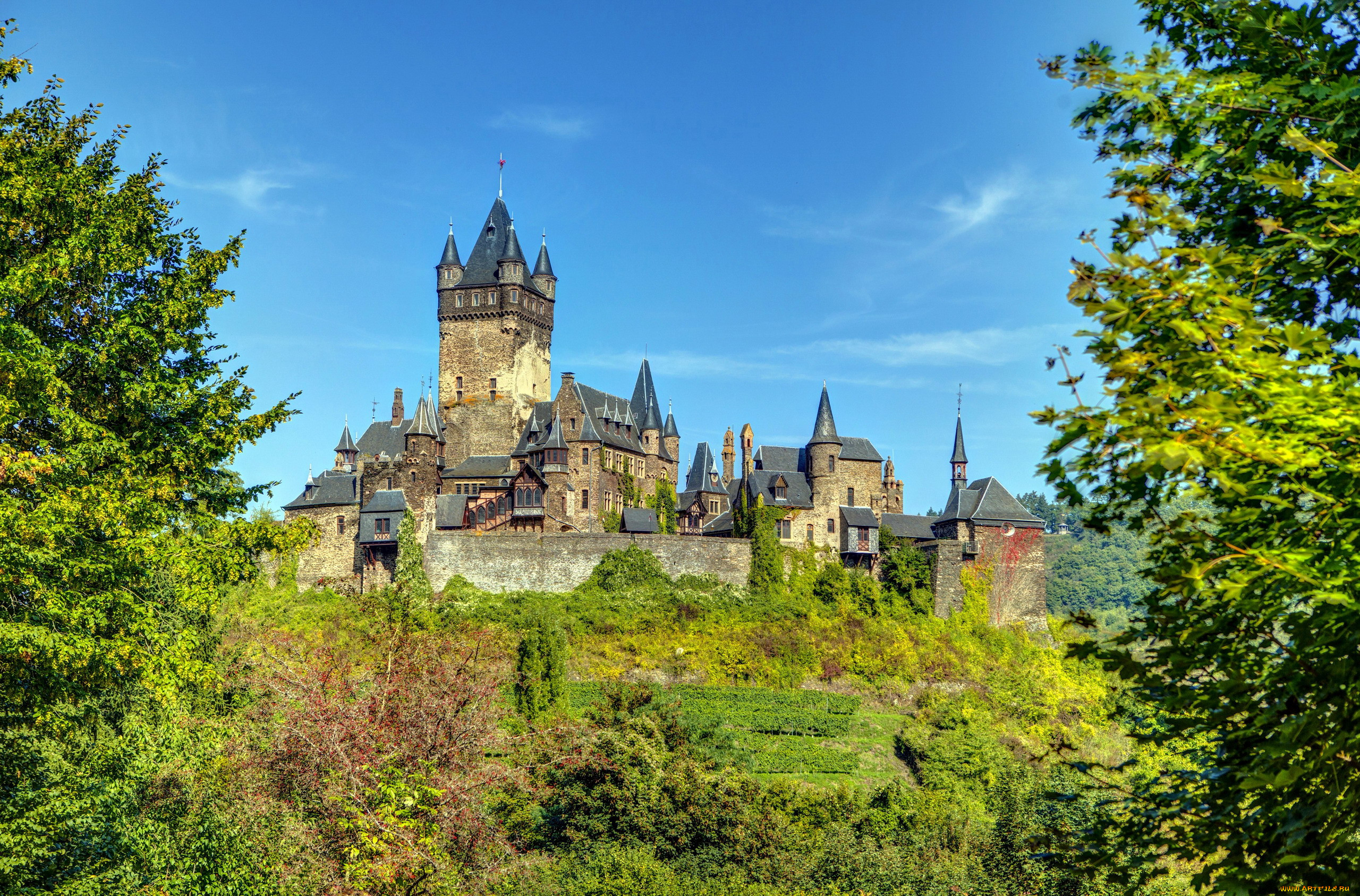 cochem castle, ,  , cochem, castle